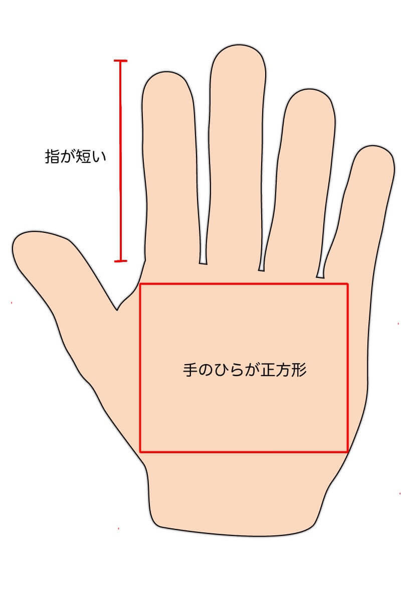 【自分の手の形が他人とだいぶ違う…】