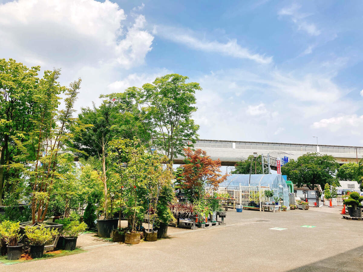 道の駅「川口・あんぎょう」樹里安