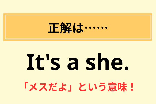 “It's a she.”の意味は？