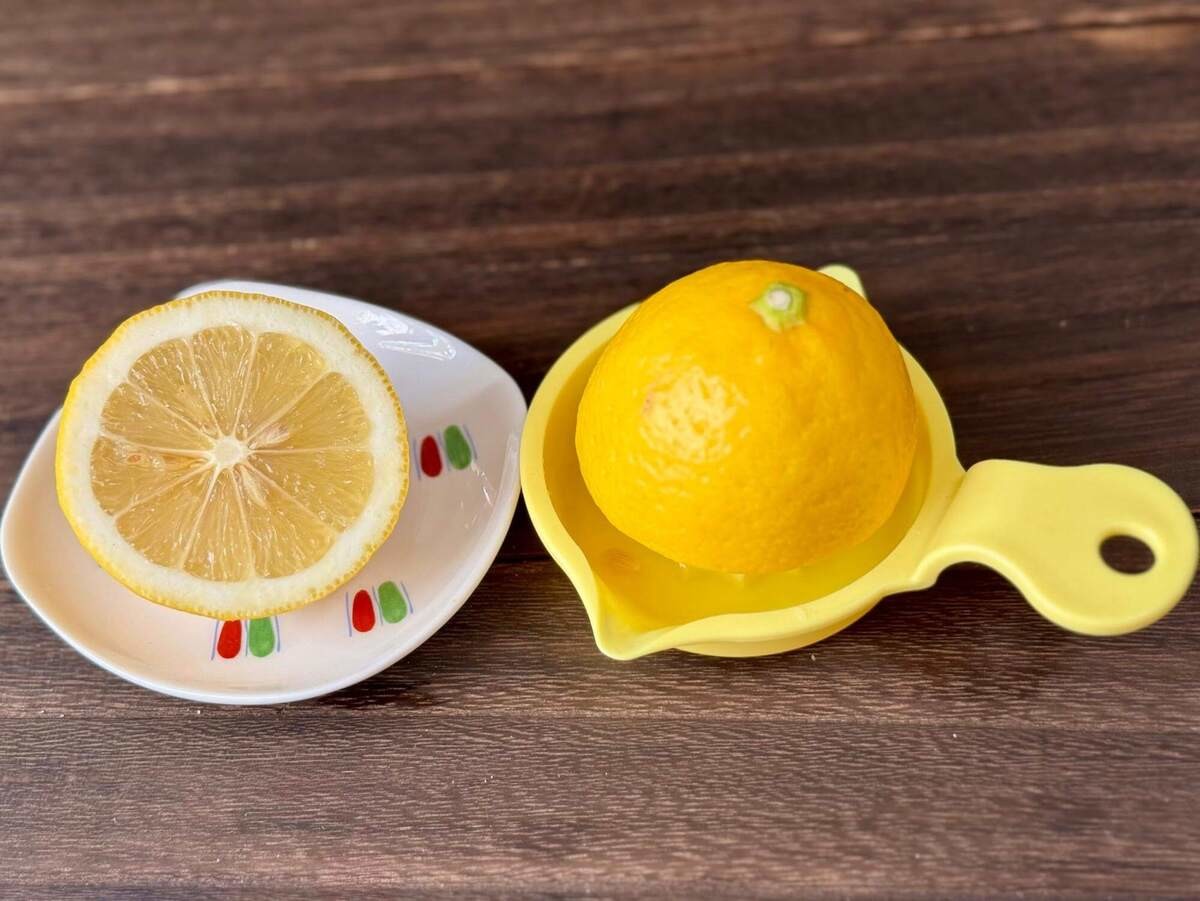 三國清三さん「鶏むね肉のにんにくレモンクリーム」