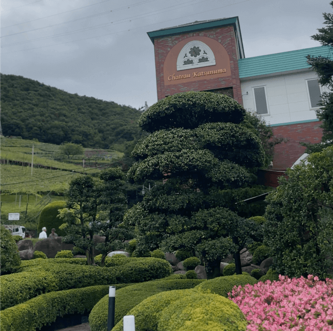 「シャトー勝沼」