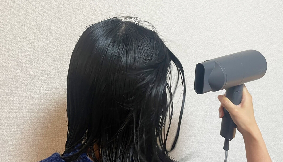 アイリスオーヤマ「MiCOLA イオンドライヤー HDR-M101」
