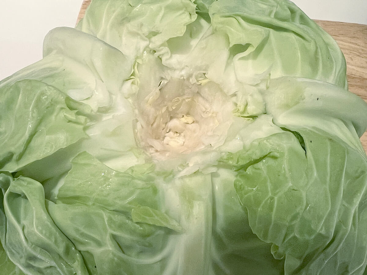 笠原将弘さん「和風ロールキャベツ」のレシピ