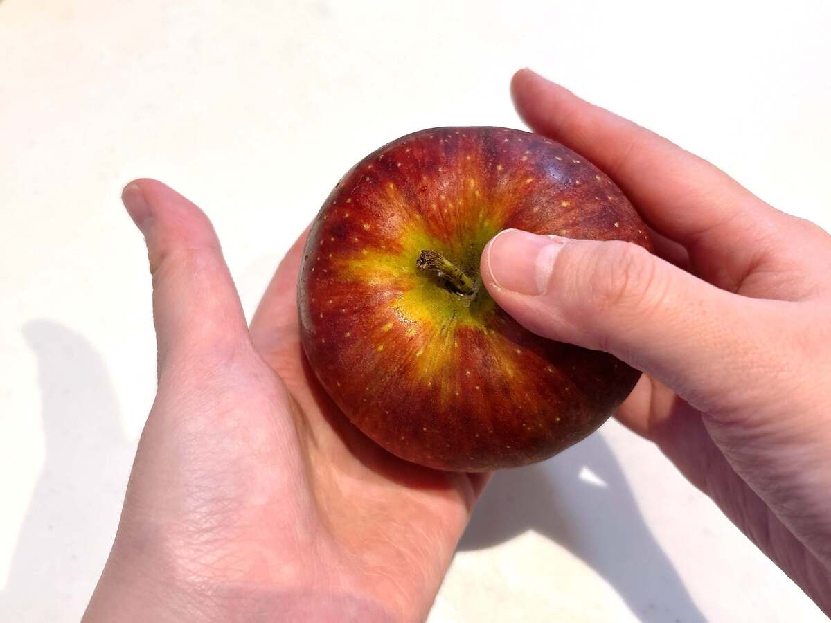 りんご……手で割るの!?
