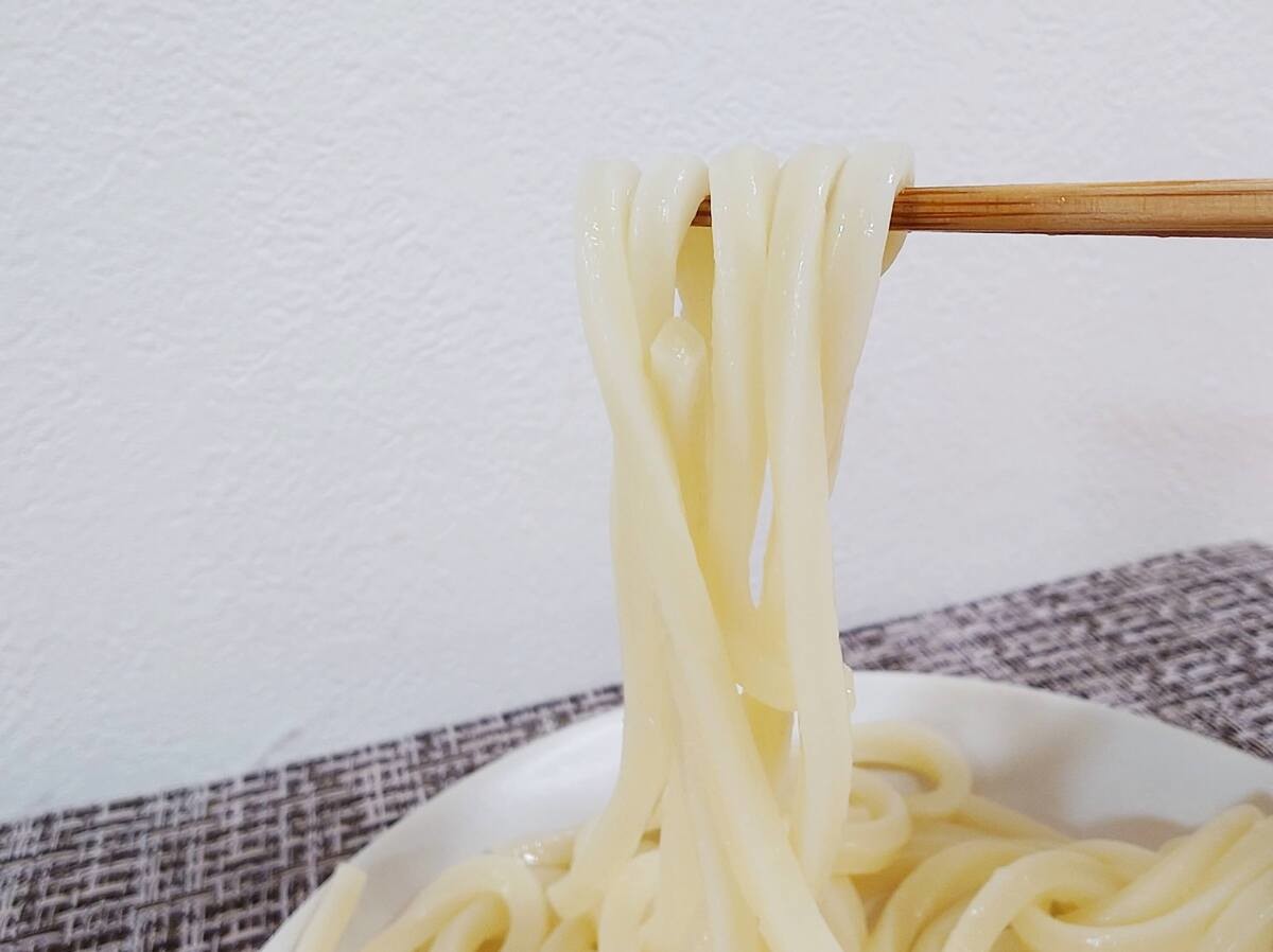 サタプラのひたすら試してランキングのうどん2選