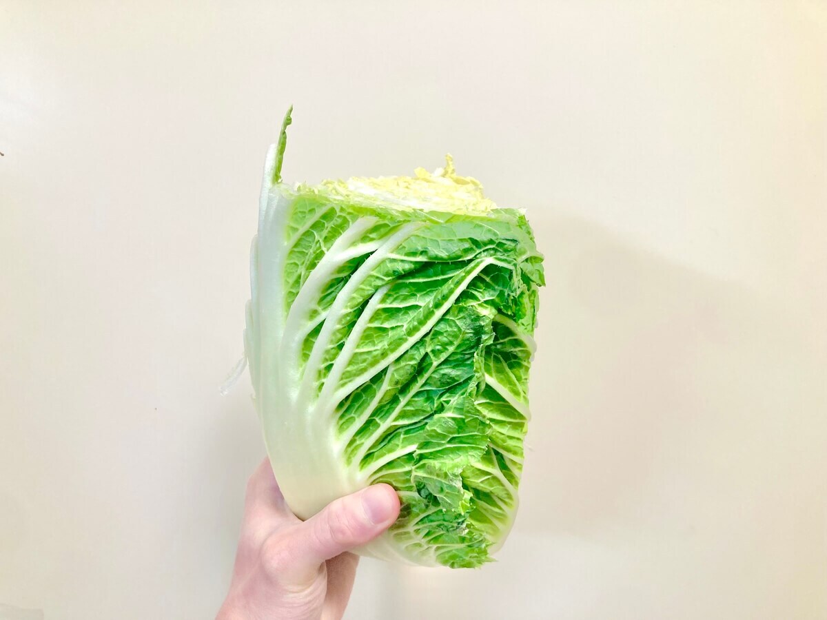 【白菜の切り方】上だけ切って使うデメリットはある？