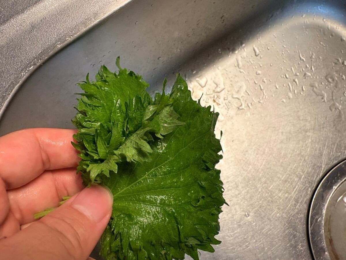 青じそのしょうゆ漬け