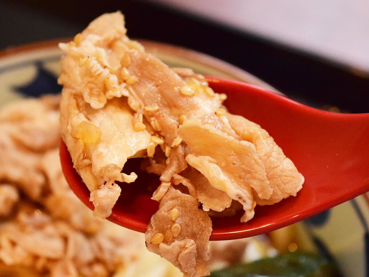 鬼おろし豚しゃぶぶっかけうどん