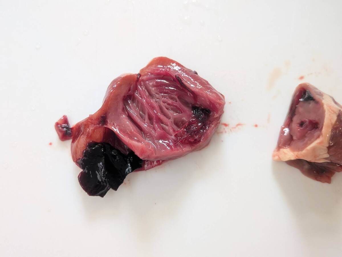 ロピアおすすめ1.食べ盛りの味方！国産なのに激安ムネ肉