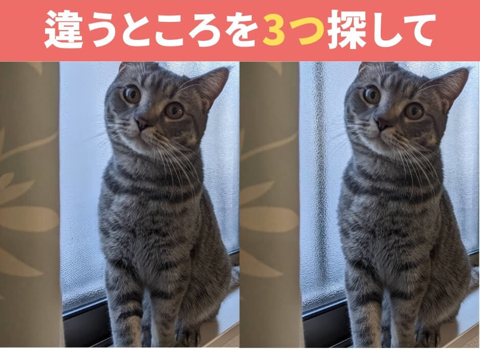 間違い探し