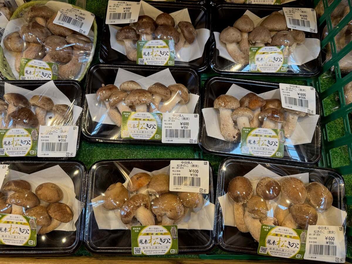 愛知県新城市「もっくる新城」