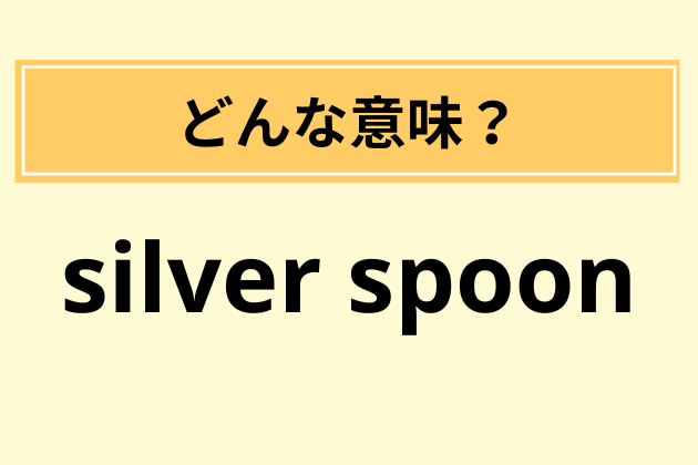 【私の夫と結婚して】“silver spoon”の意味は？