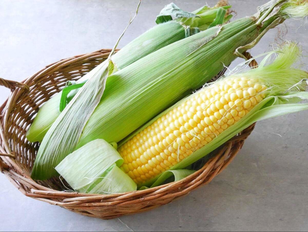 食中毒を招く「とうもろこし」のNG行動