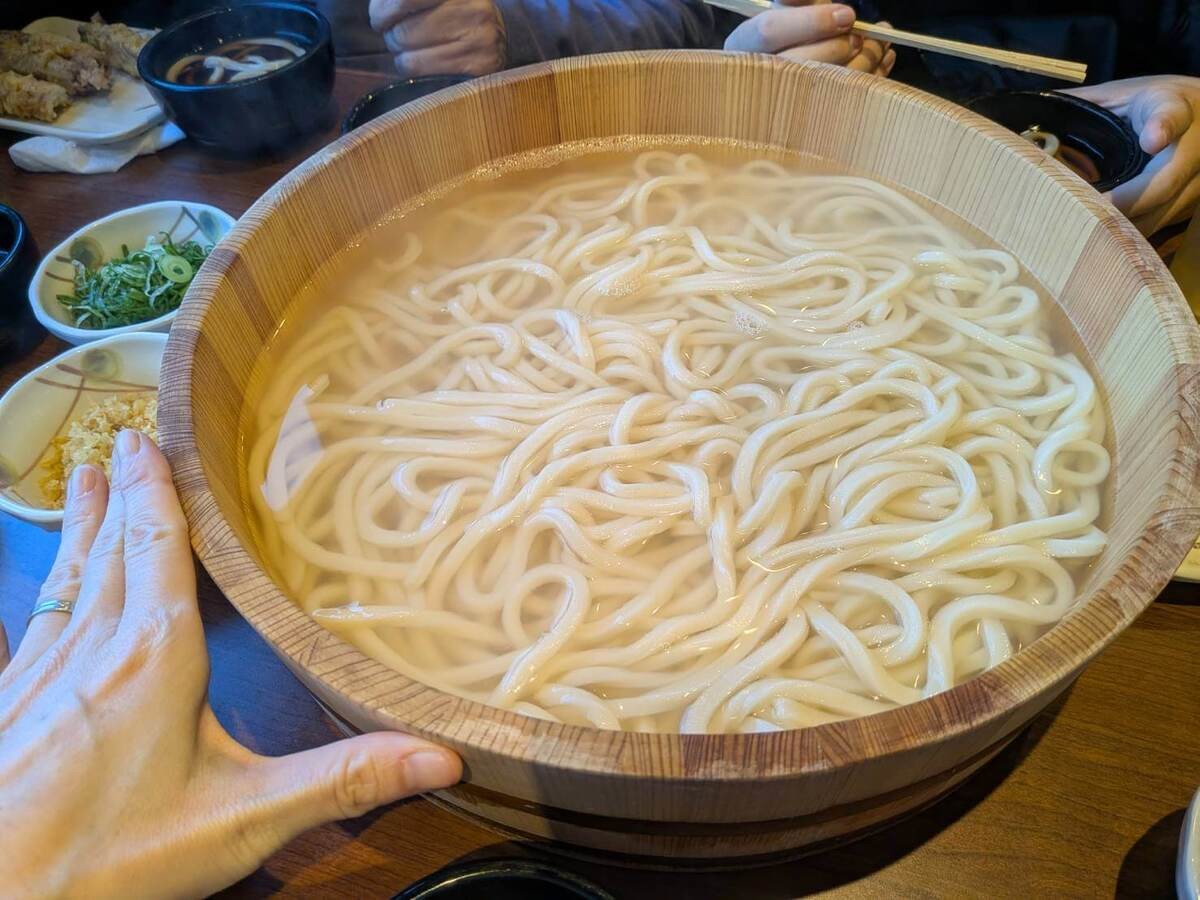 家族釜揚げうどん
