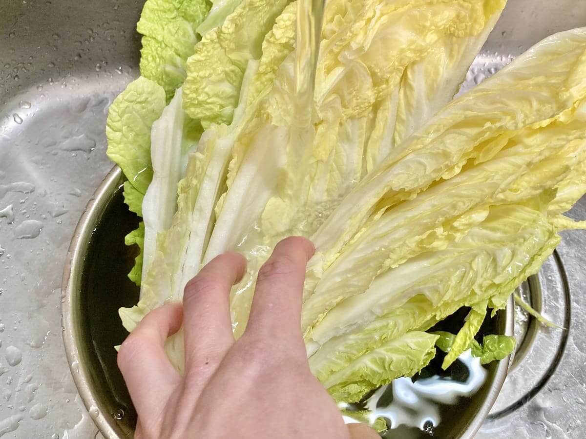 正しい白菜の洗い方