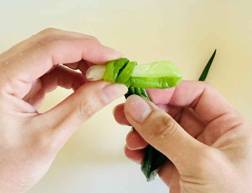 熊本県の郷土料理「一文字のぐるぐる(ひともじのぐるぐる)」