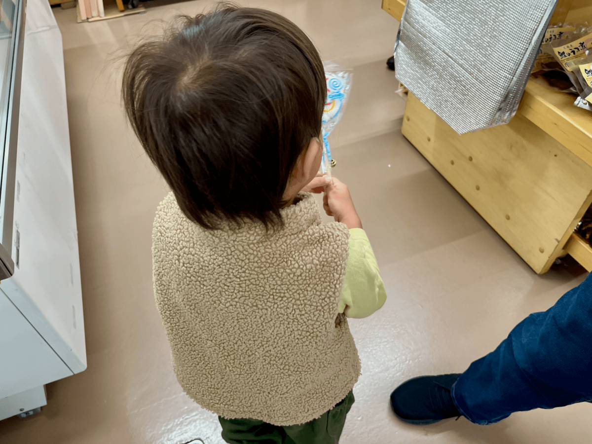 「道の駅ごか」