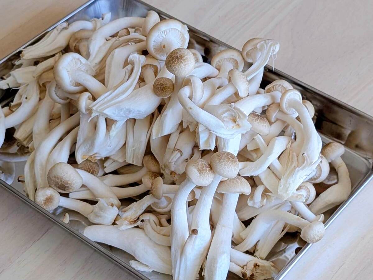 きのこの炊き込みご飯