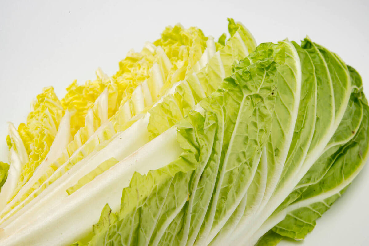 こんな白菜は食べてもOK？