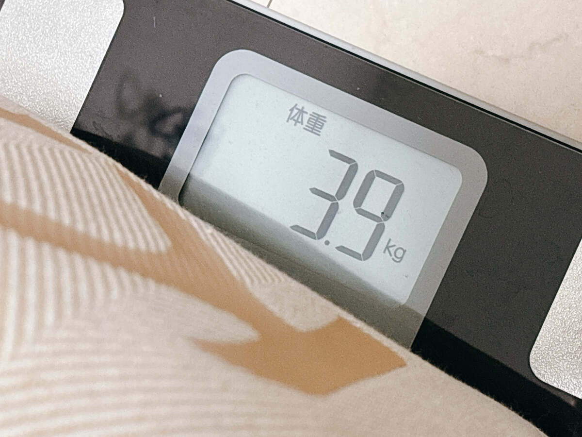 「カルディ食品福袋 2026」