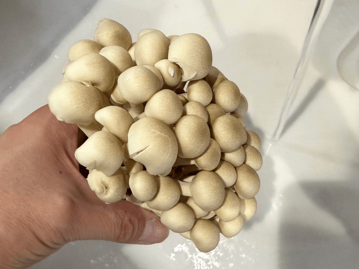 やらなくていい野菜の下処理