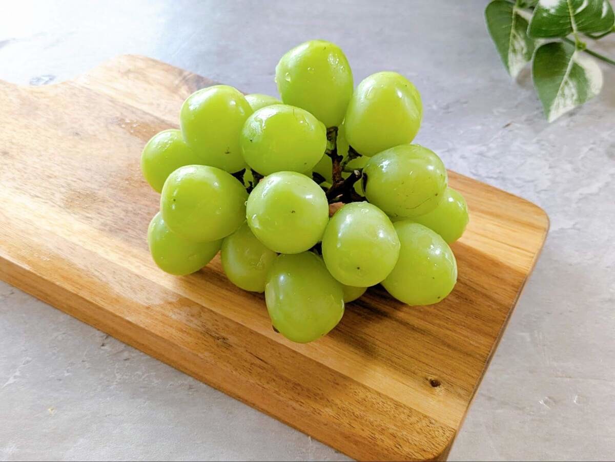 食中毒　ぶどう