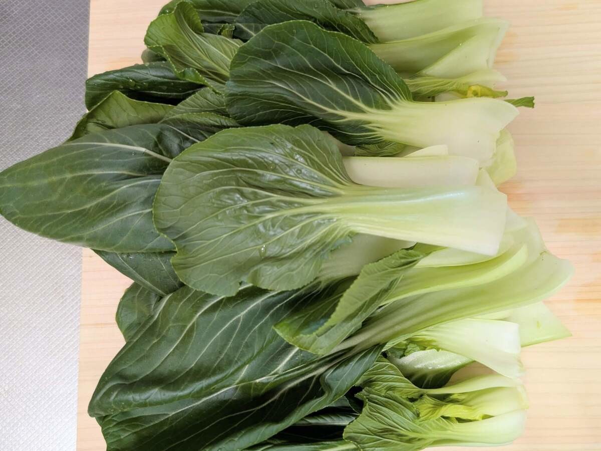 チンゲン菜そぼろ炒め