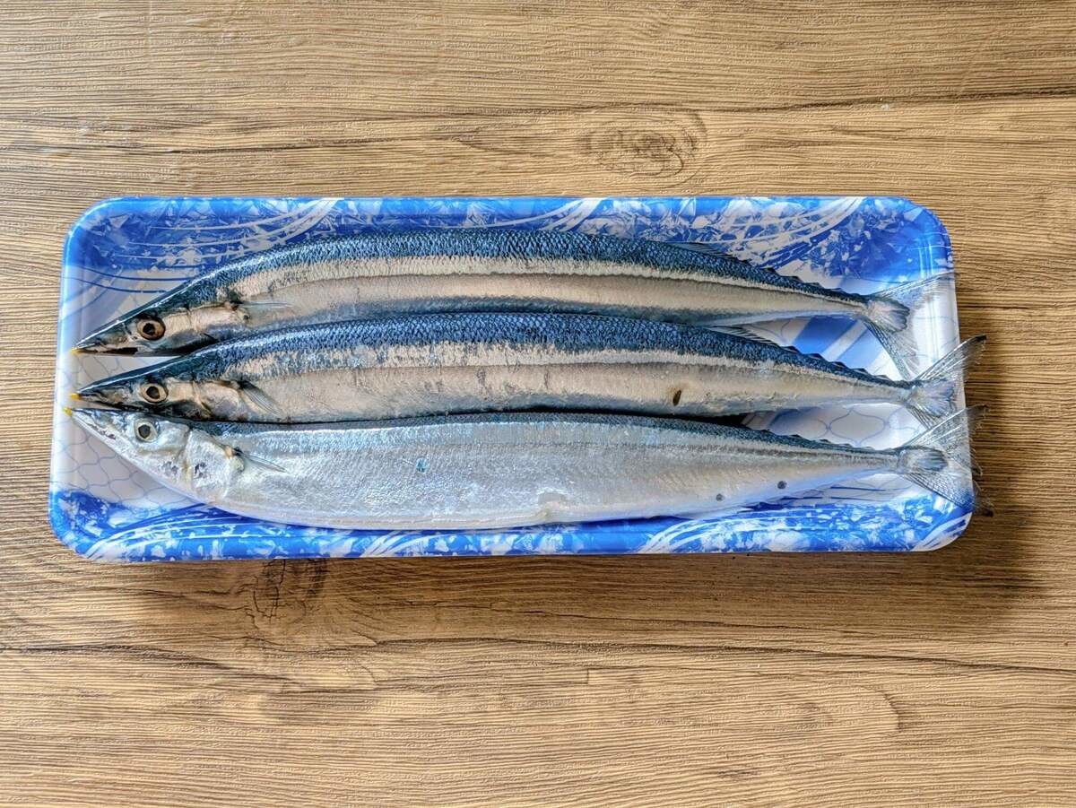 アニサキスの正体や簡単にできる撃退法