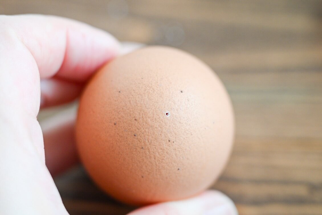 塩こんぶめんつゆ味玉