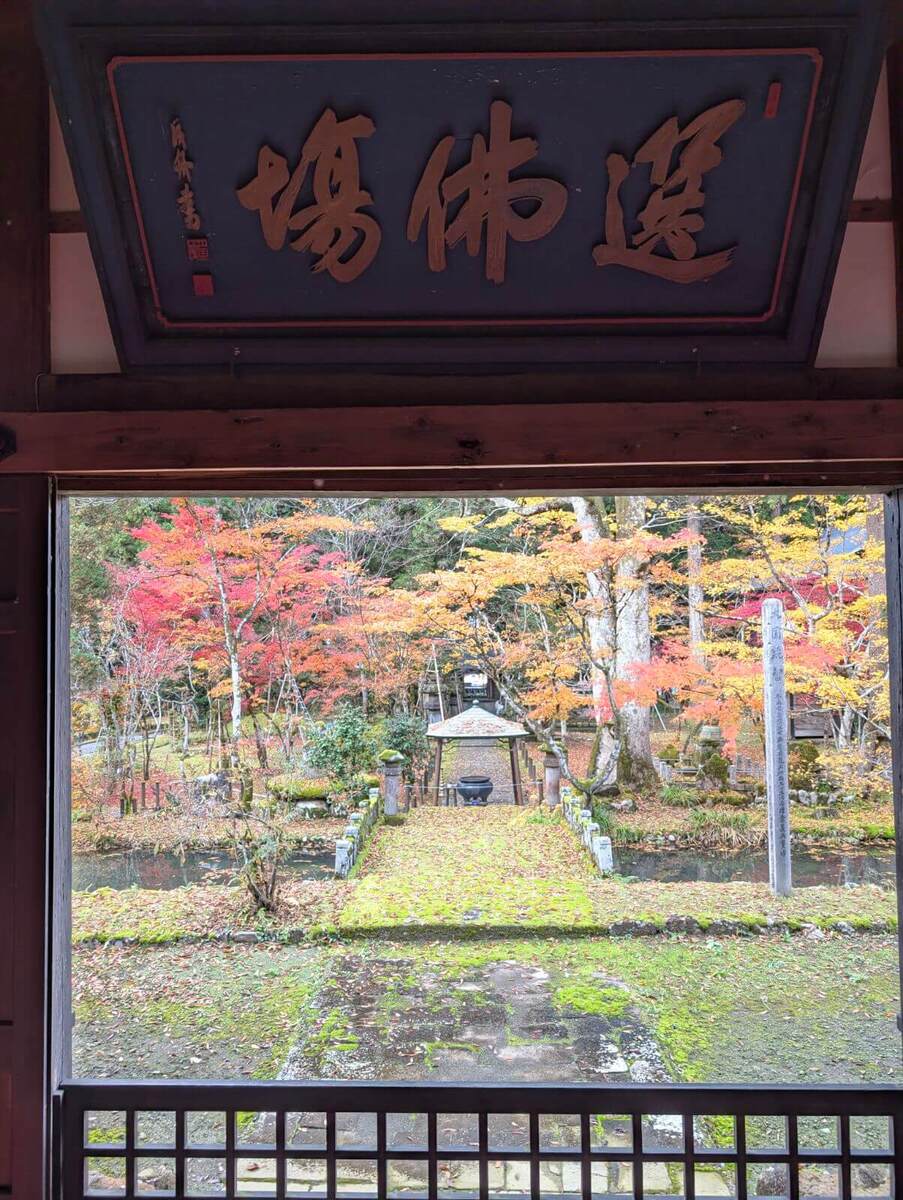 上杉謙信の幼名は？