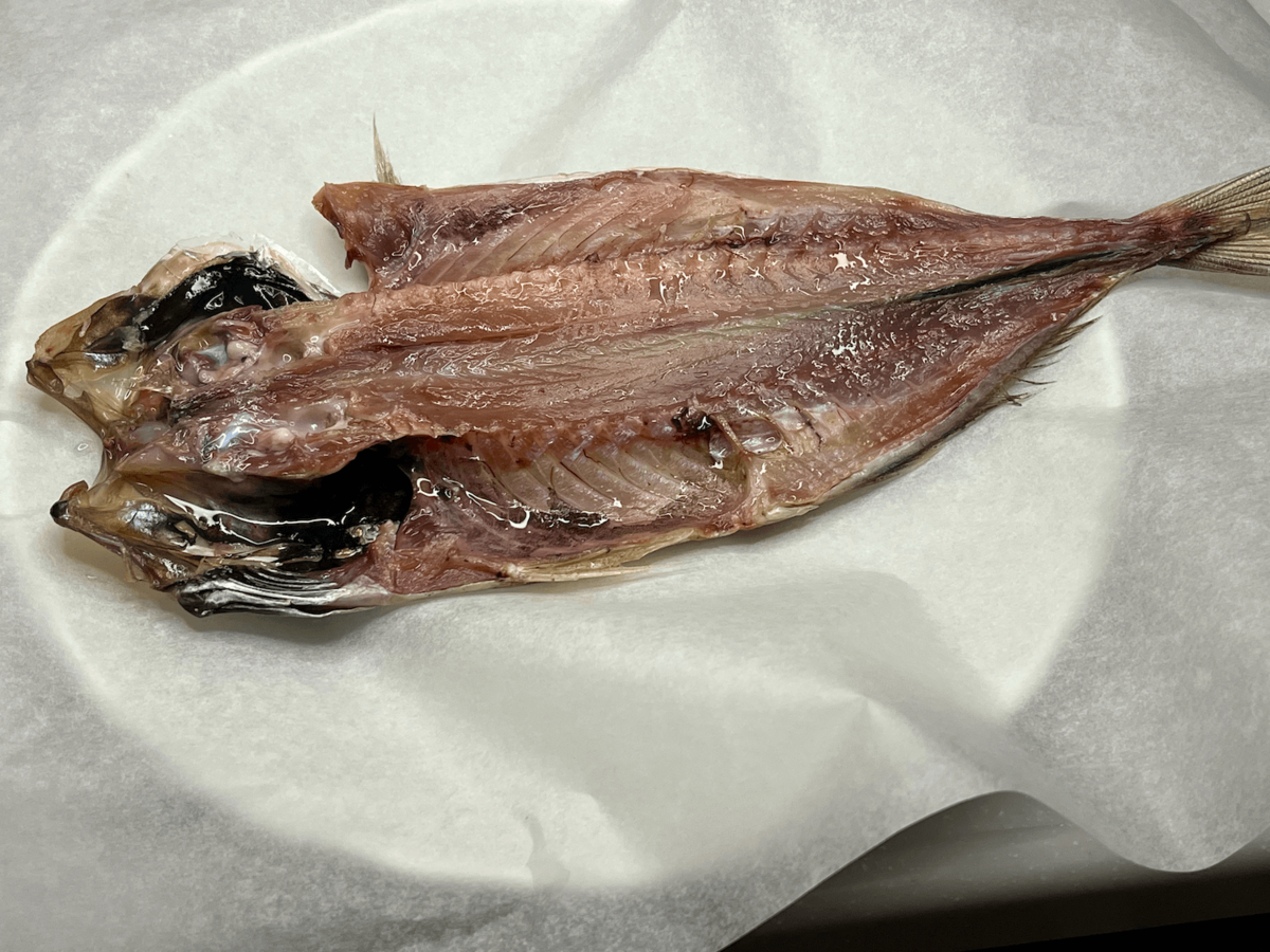 村上祥子さん「電子レンジでアジの干物を焼く方法」