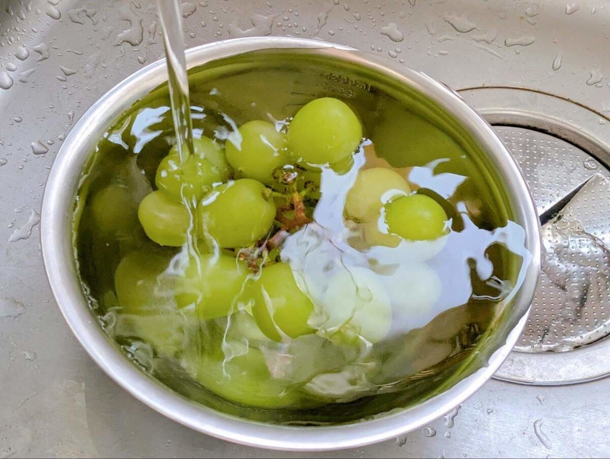 食中毒　ぶどう