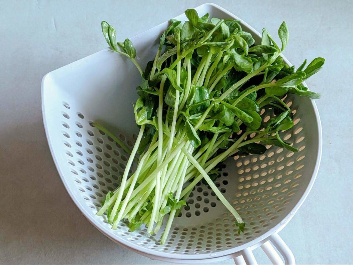 村上農園さん「カリカリちくわ」