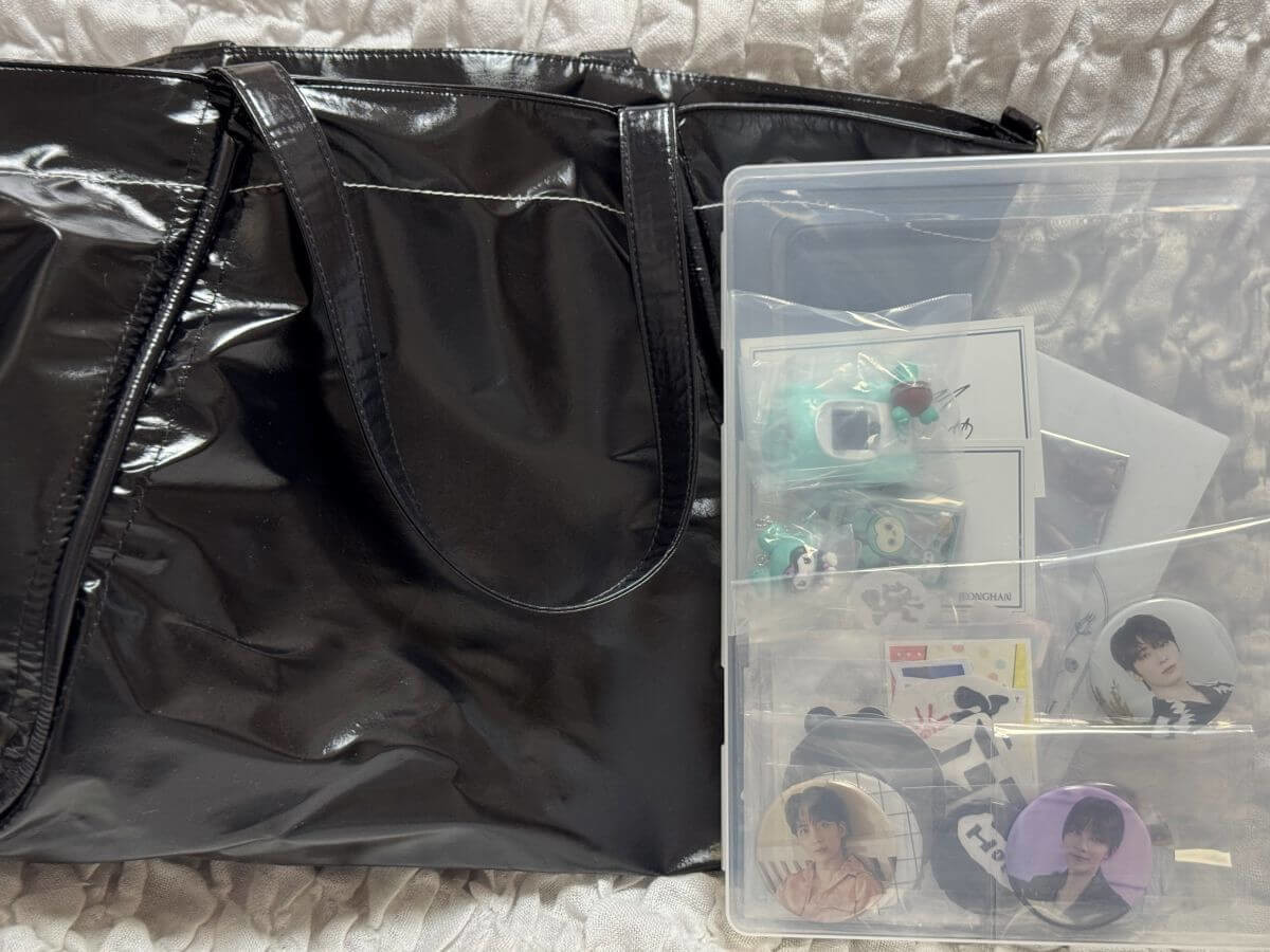 【セリア】マニア大絶賛2選