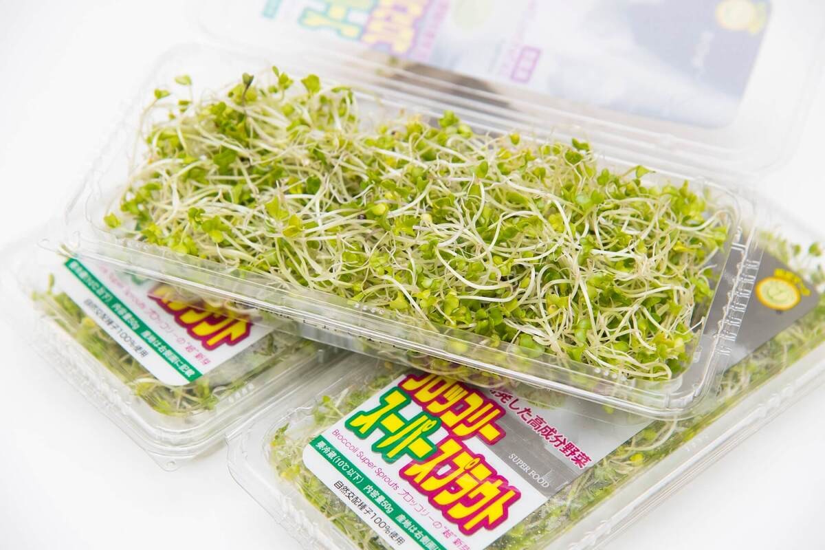 ブロッコリースプラウトとは?