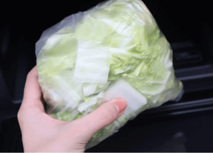 白菜の黒い斑点って何?