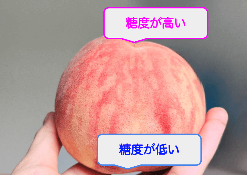 美味しい桃の見極めポイント