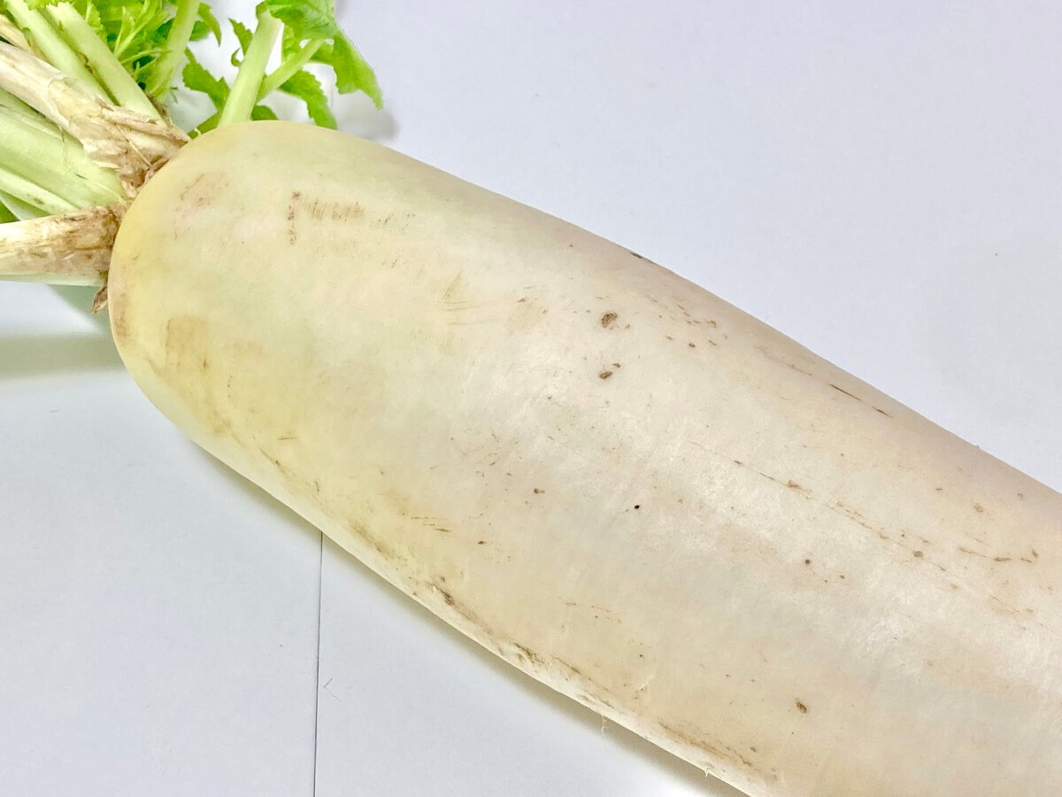 ぶよぶよ・シワシワ大根は、条件付きで食べられます