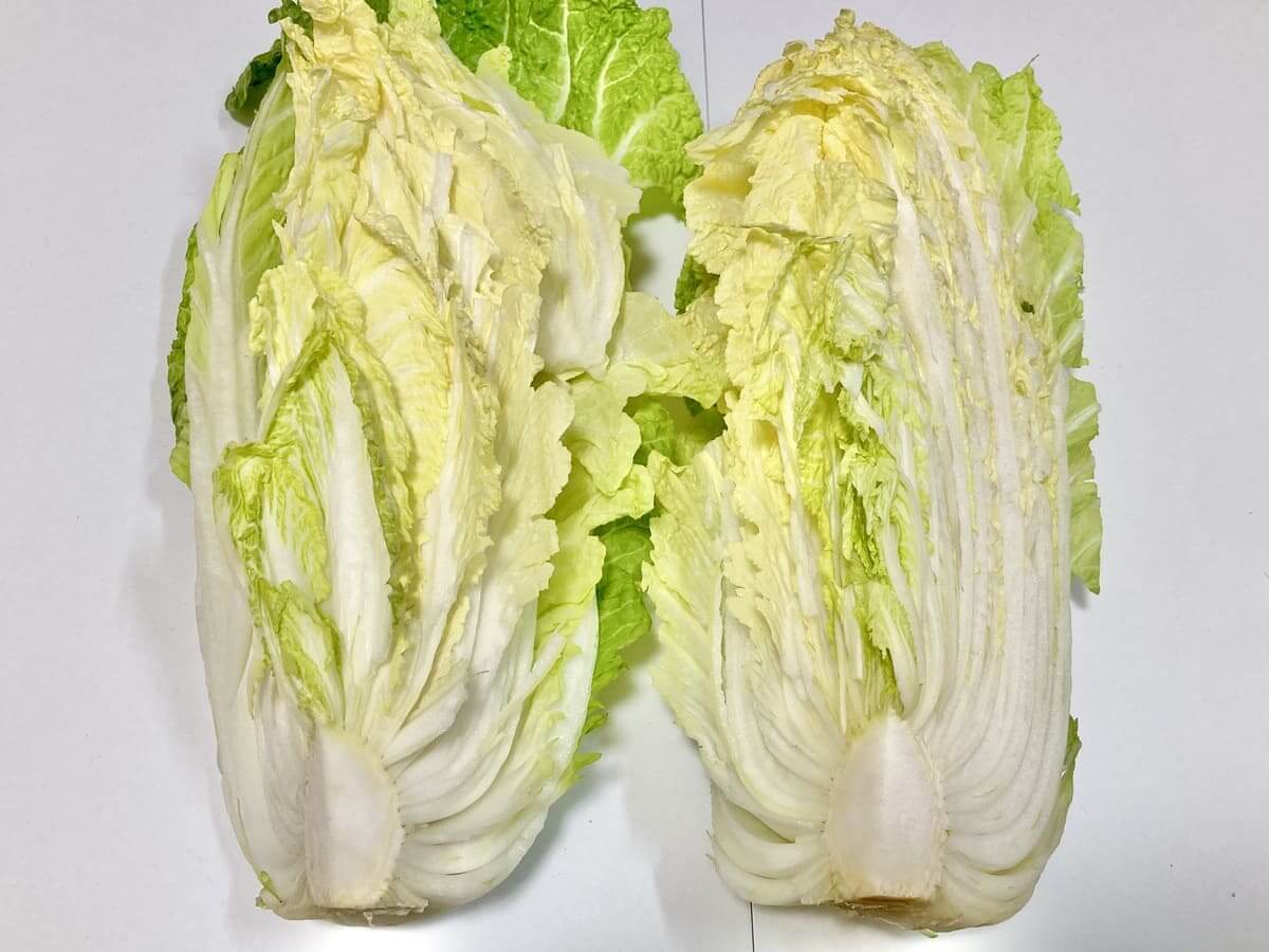 正しい白菜の洗い方