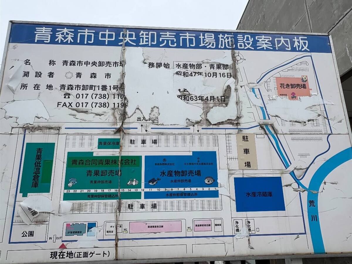 【青森市中央卸売市場】舘山商店の大人気「手羽先」を実食