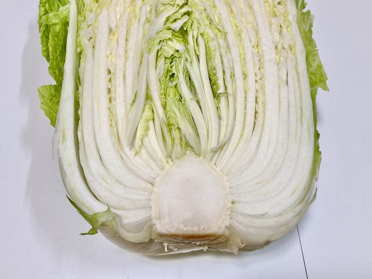 正しい白菜の洗い方