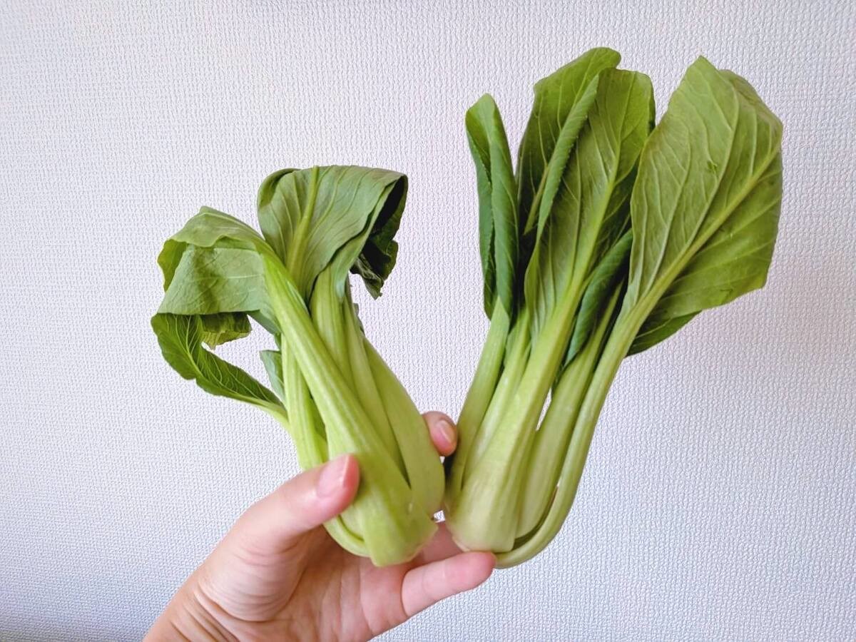 スリコ冷蔵庫収納