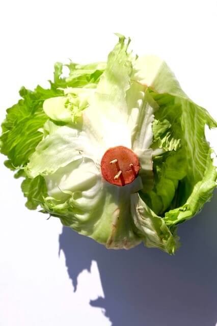 レタスの保存方法