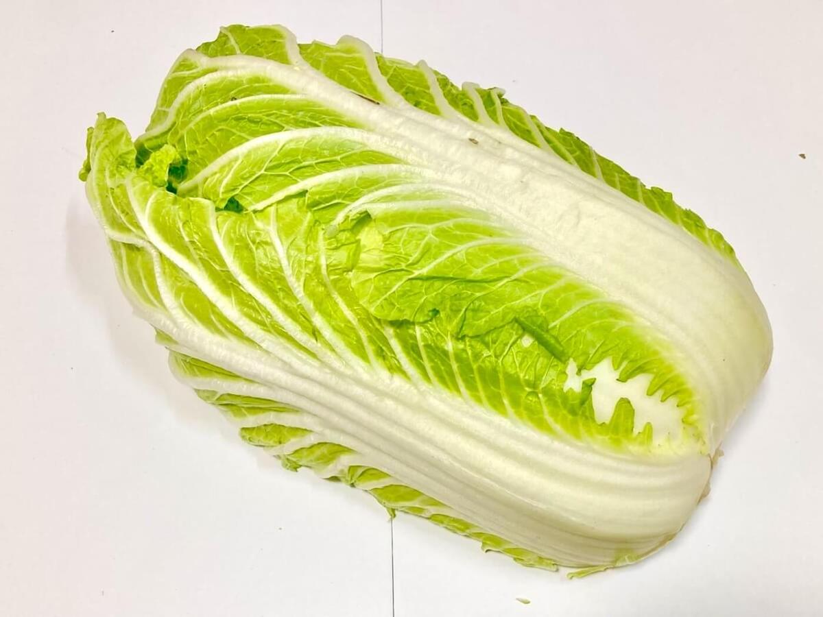 こんな白菜は食べてもOK？