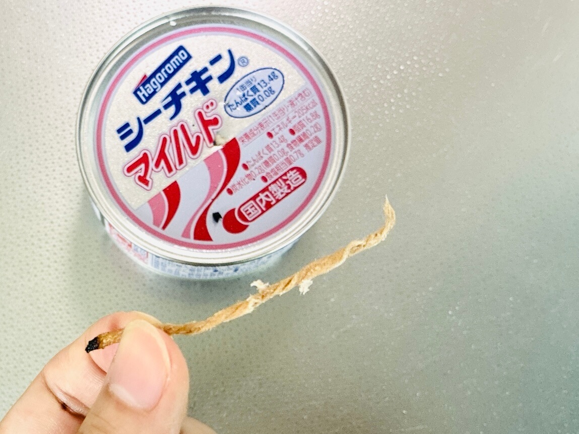 ツナ缶でランプ