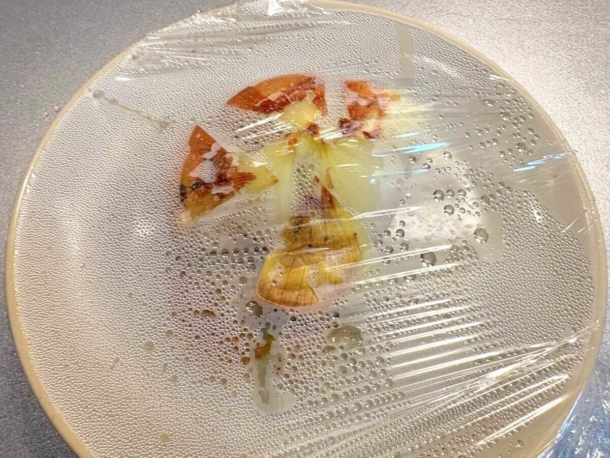 丸ごと玉ねぎのエスニック風味