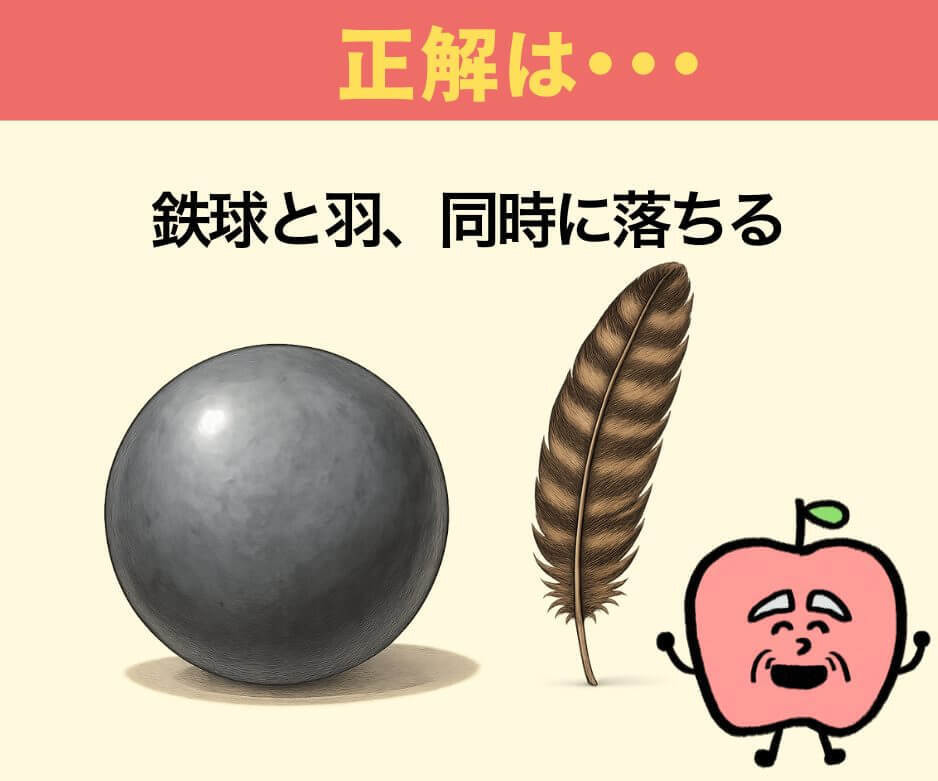 鉄球と羽、先に地面に落ちるのはどっち?
