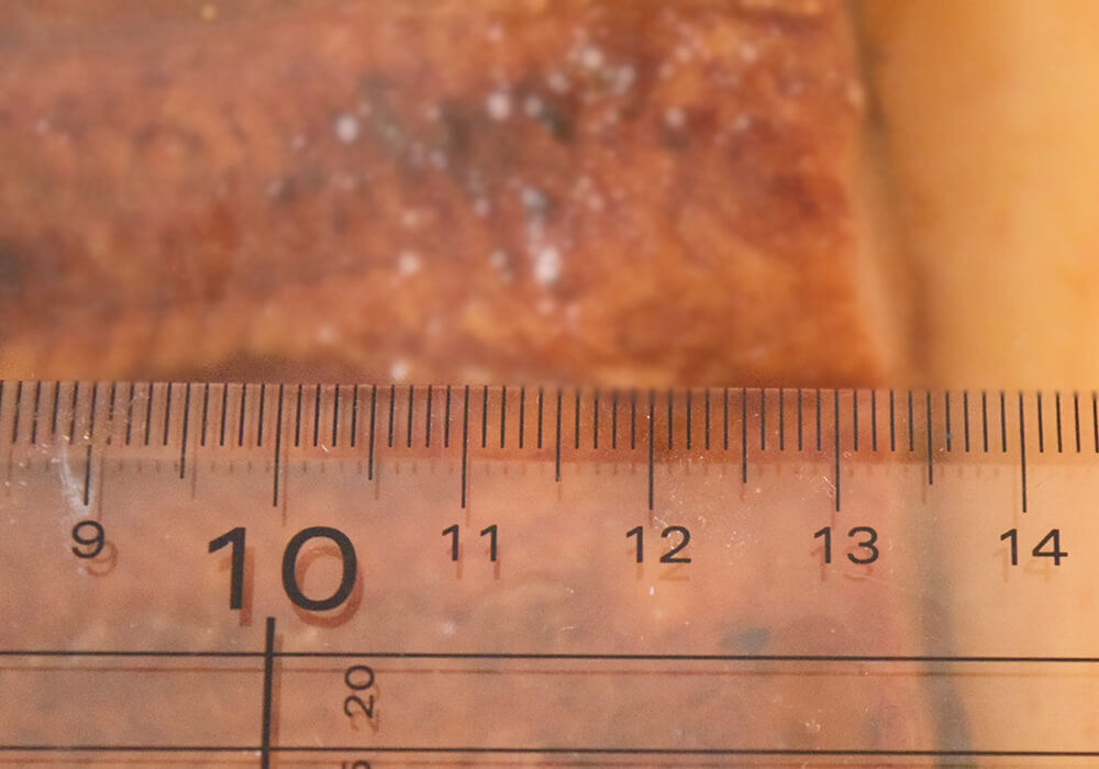 ロピア新商品「もっっちもち肉まん」実食レポ