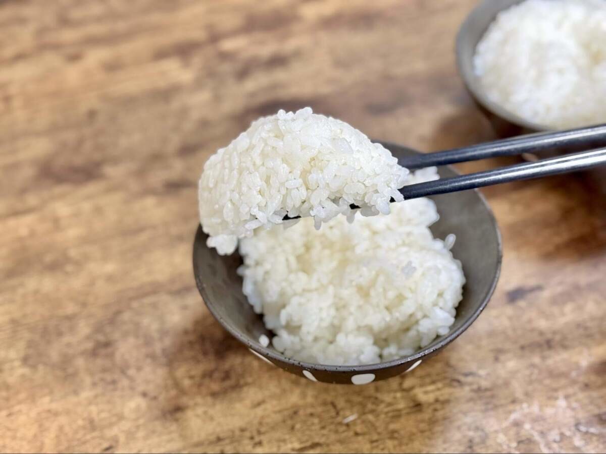 タイガー魔法瓶「冷やごはんを温める裏ワザ」