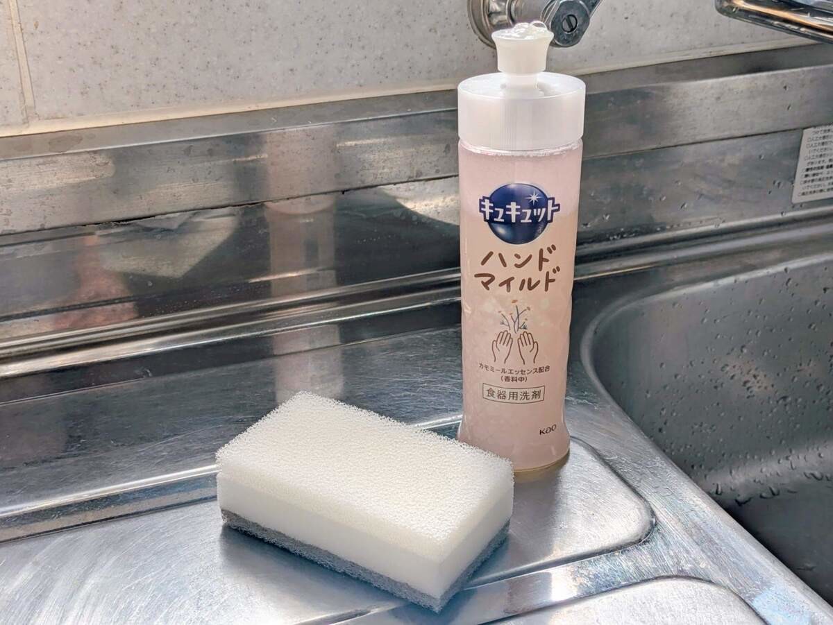 スポンジ